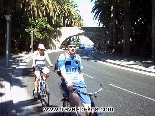 THE STREET WITH THE PHOENIX - The palm trees street is the most famous in Kos town.