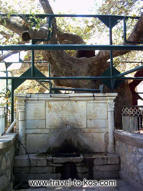 THE PLANE TREE SQUARE - The plane tree square is one of the most popular place in town. 