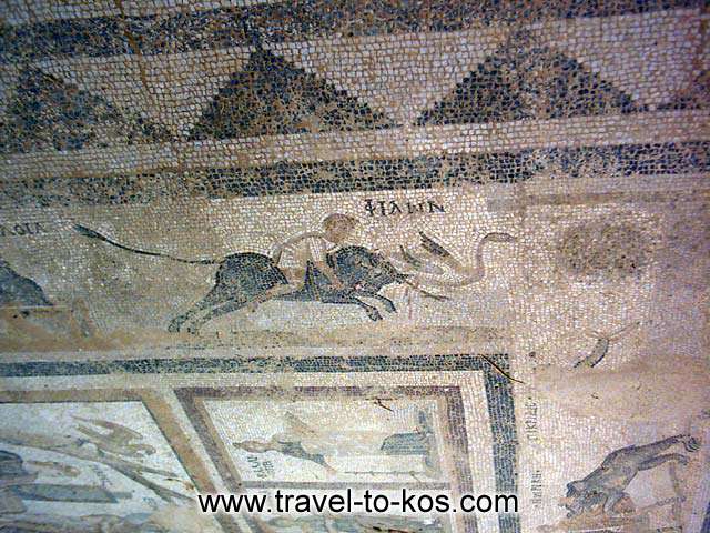 MOSAIC - Mosaic art meet big acme at the Roman age. 