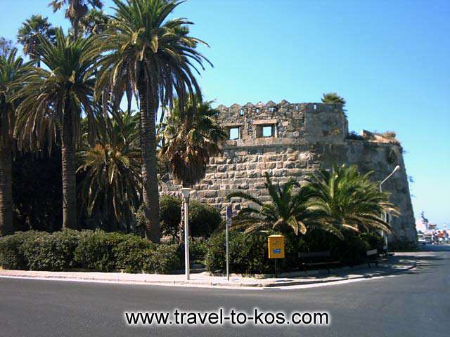 PALM TREE STREET - A part of the Palm Tree Street.  