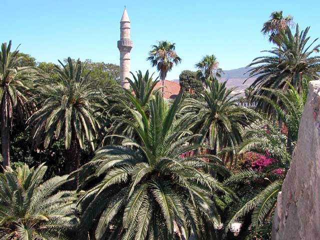 PALM TREES AND MINARET - This is a view on the very center of Kos city hidden under the palm trees with dominating minaret, you can see also a roof of historical mosque next to it. How is it possible after ages of wars and mutual hatred, including religious intolerance, after still unresolved and painful Cyprus crisis of sixties, close to the Turkish coast (4 km of sea distance) in the center of the Greek city of Kos to see dominating a mosque of Hassan Pasha?

Very easy: life is much more simple and normal on the 