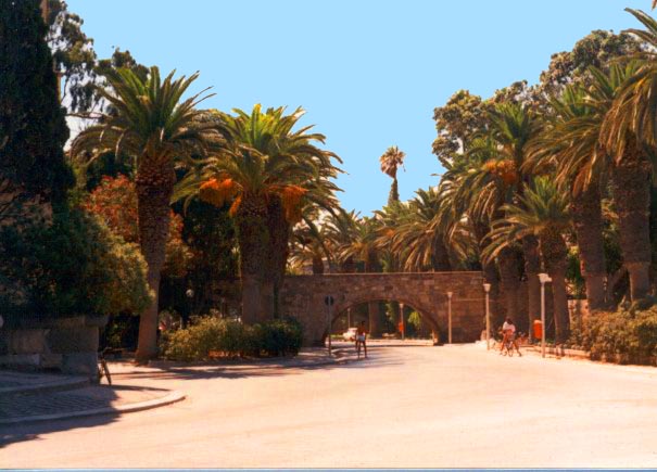 Kos Town bridge - One of the liveliest and most attractive of the Greek Island capitals Kos Town is full of palm trees and flowers with many archaeological remains and imposing Venetian-style buildings...