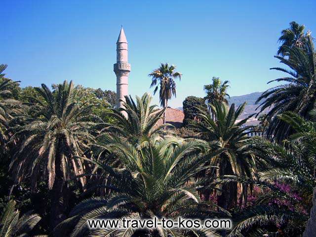 PALMS AND MOSQUE - Mosque between palm trees