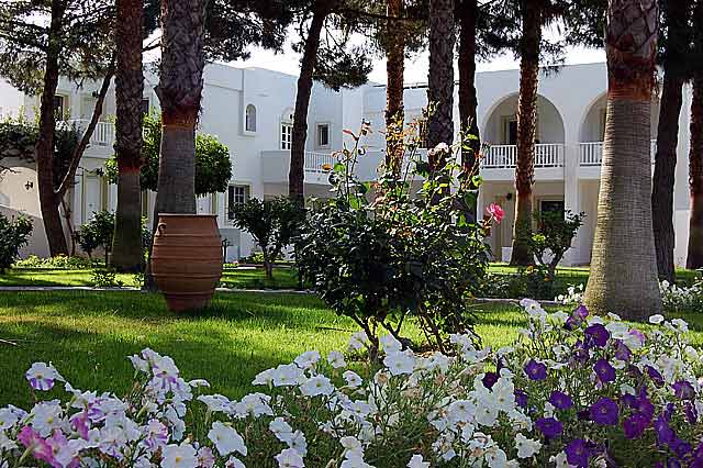 Photo of the beautiful garden of the Palladium hotel CLICK TO ENLARGE