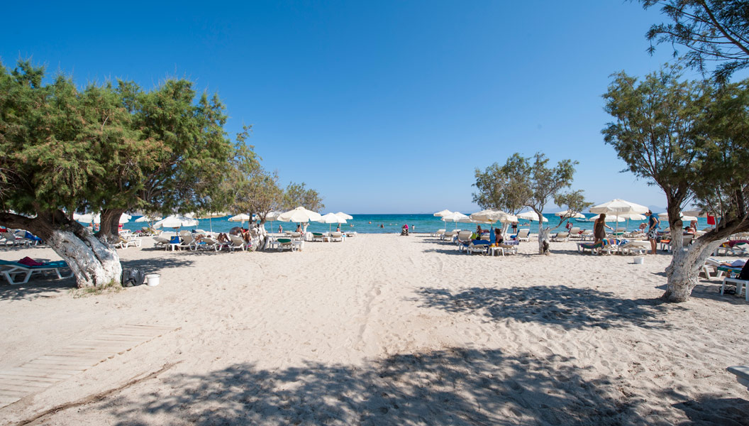 Picture of Tigaki Beach hotel in Kos CLICK TO ENLARGE