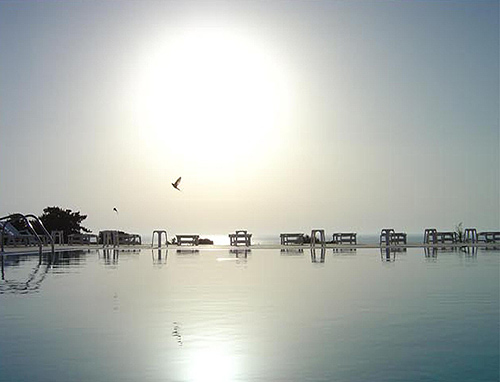 Image of the swimming pool of SEAGULLS BAY HOTEL APARTMENTS in Kos CLICK TO ENLARGE